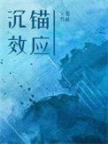 沉錨傚應小说封面